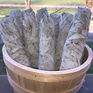Sage Smudge Stick 9”-10”