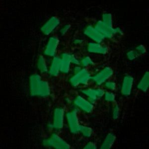 Ode to Baddie B (Glow in The Dark)